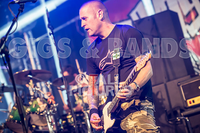 Spunge-121 - [spunge]