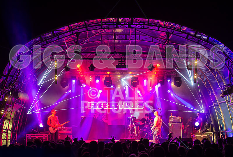 Vale Earth Fair_Atmosphere_2014-2 - VALE EARTH FAIR 2014 - THE ATMOSPHERE