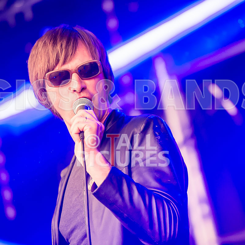 The Cryptics-35 - THE CRYPTICS