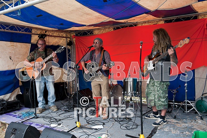 Big Sheep-1 - BIG SHEEP