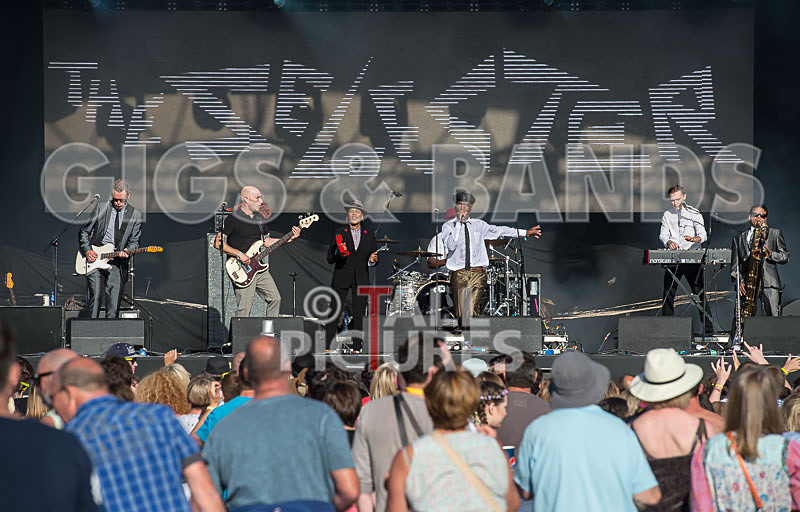 The Selecter-82 - THE SELECTER