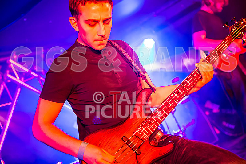 To the Woods-210 - TO THE WOODS