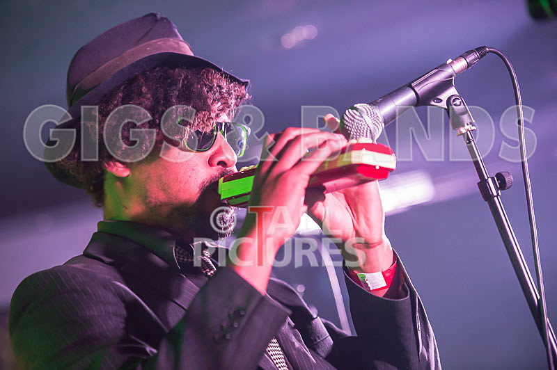 The Recks-348 - THE RECKS