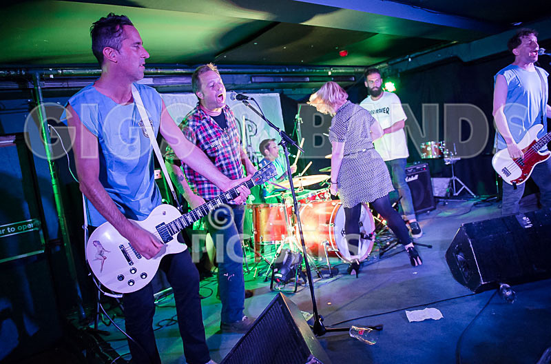 Top Buzzer-56 - TOP BUZZER