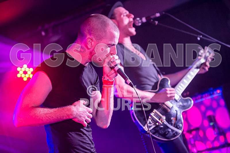 Heymoonshaker-58 - HEYMOONSHAKER