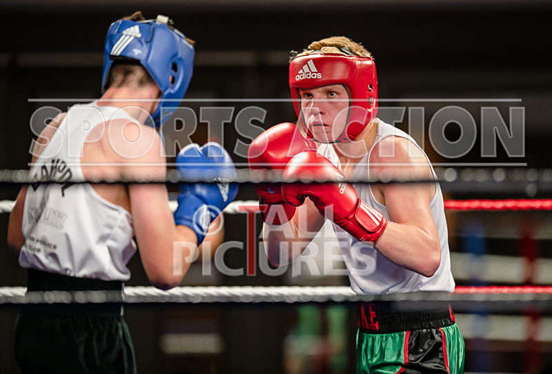 BOUT-2_Luke Robert v Domenico Cianni-1 - BOUT-2_Luke Robert v Domenico Cianni