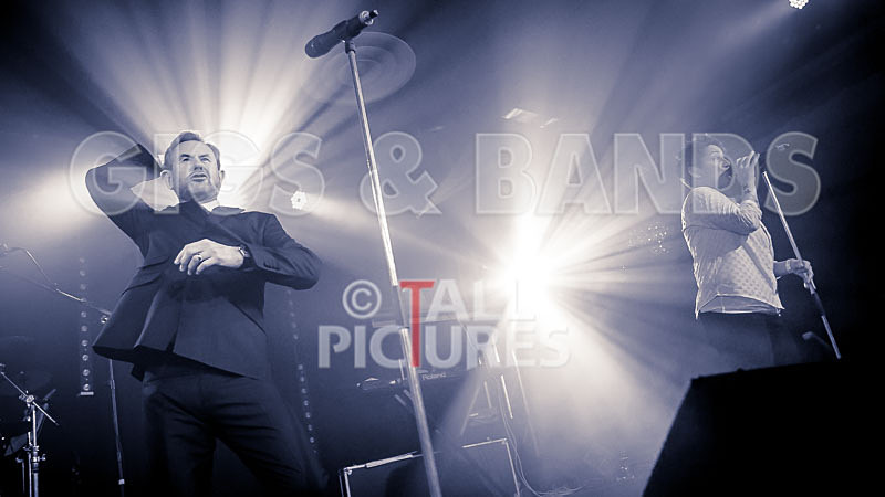 King Rat the Soul Cats-331 - KING RAT AND THE SOUL CATS