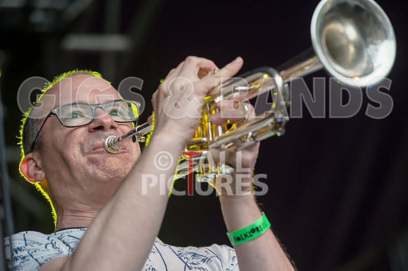 Molotov Jukebox-53 - MOLOTOV JUKEBOX