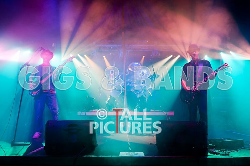 Peppered Ant Legs-52 - PEPPERED ANT LEGS