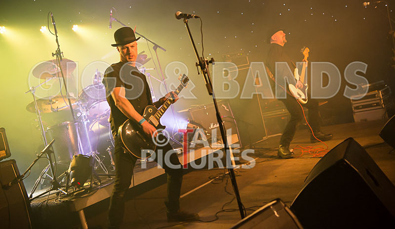 Peppered Ant Legs-176 - PEPPERED ANT LEGS