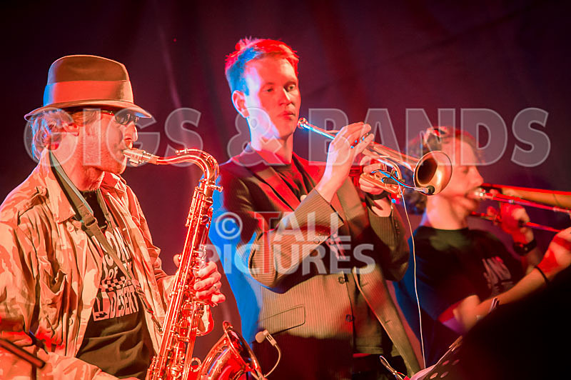 Sons of the Desert-271 - SONS OF THE DESERT