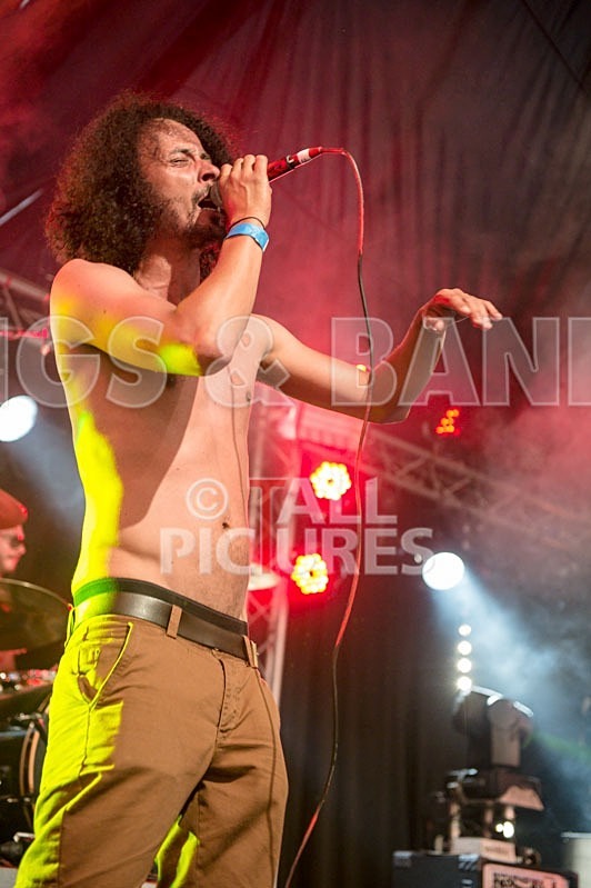 Chaos 2013_Harlequin Knights-43 - HARLEQUIN KNIGHTS