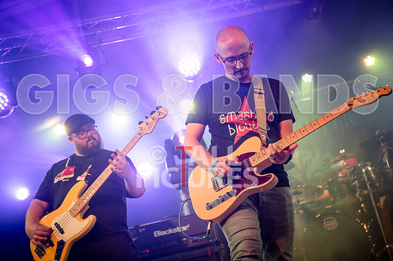 Foxy Stoat Seeks Pig-16 - FOXY STOAT SEEKS PIG