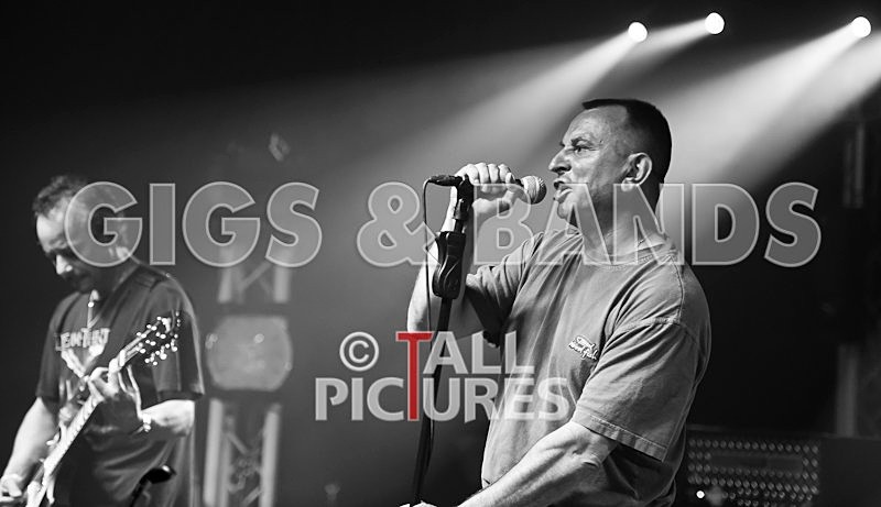 Elysium-108 - ELYSIUM