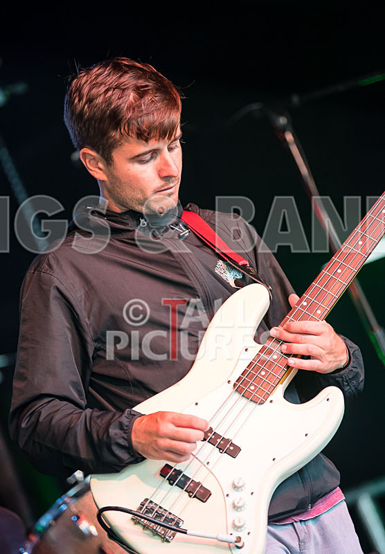 Lizzard Channel-35 - LIZZARD CHANNEL