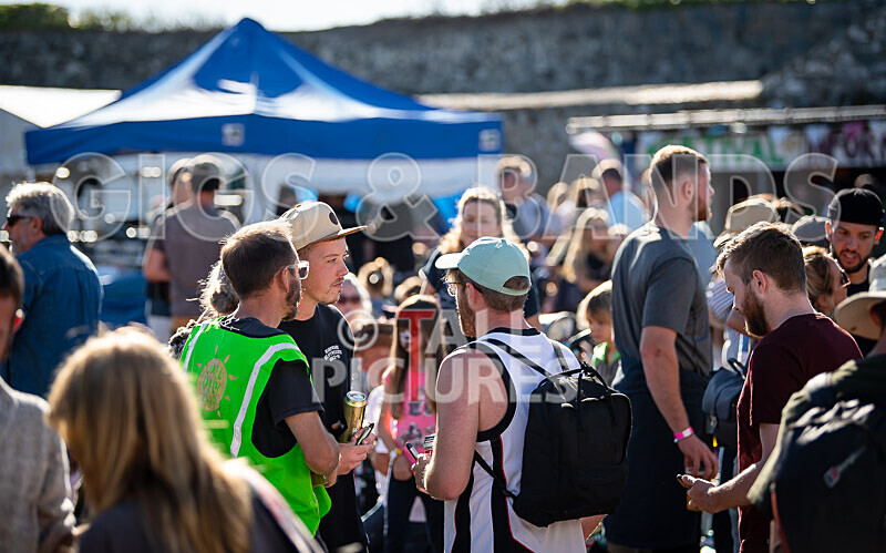 Vale Earth Fair 2020_THE SCENE-105 - VALE EARTH FAIR 2020_THE SCENE