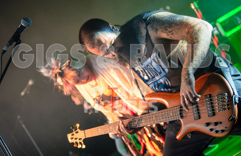 Static Alice-730 - STATIC ALICE