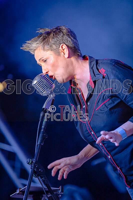 Silverados-60 - SILVERADOS