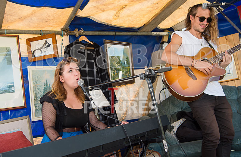 Vale Earth Fair 2017_SCENE-1 - VALE EARTH FAIR 2017_THE SCENE