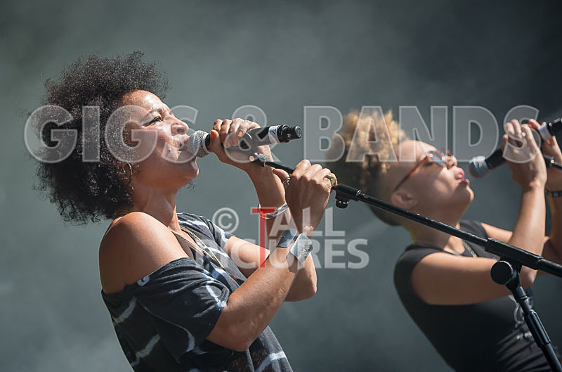 Stereo MCs-9 - STEREO MC's