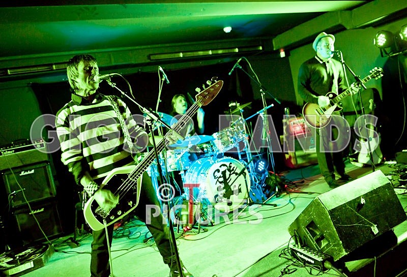 The Risk-21 - THE RISK