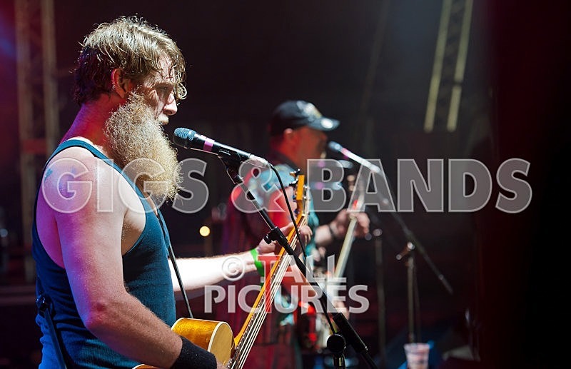 Hayseed Dixie-1 - HAYSEED DIXIE