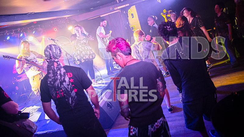 Static Alice-780 - STATIC ALICE