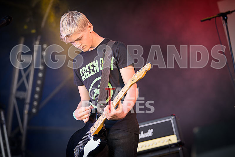 Acoustic Accord-19 - ACOUSTIC ACCORD