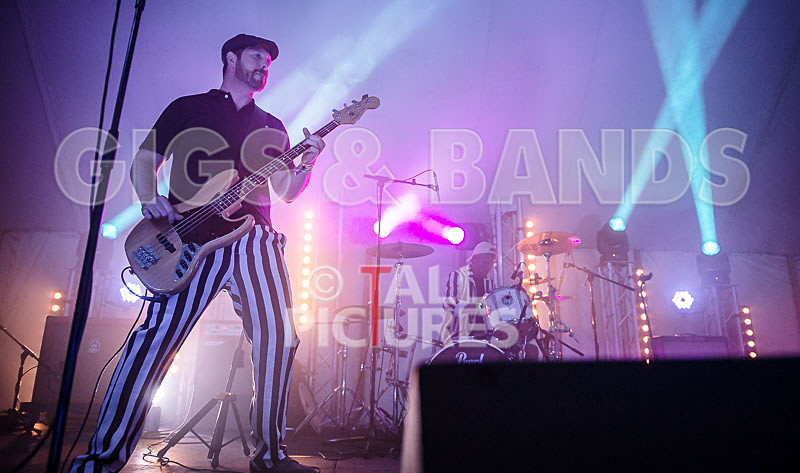 The Smooth Hounds-9 - THE SMOOTH HOUNDS