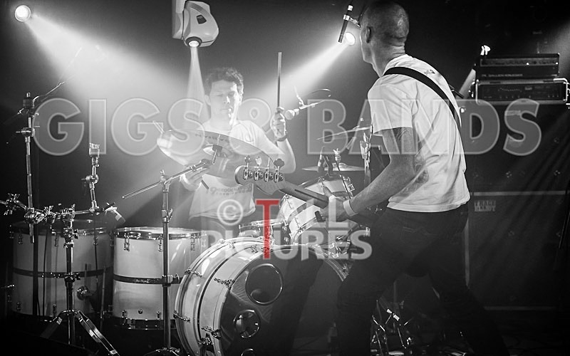 Falenizza Horsepower-105 - FALENIZZAHORSEPOWER