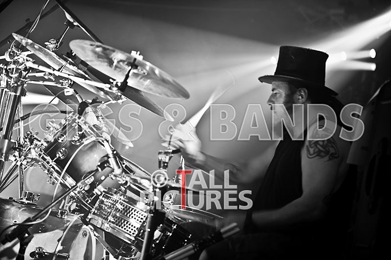 Peppered Ant Legs-79 - PEPPERED ANT LEGS