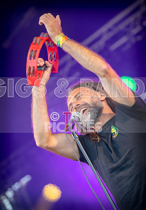 Benny the Moth-133 - BENNY THE MOTH