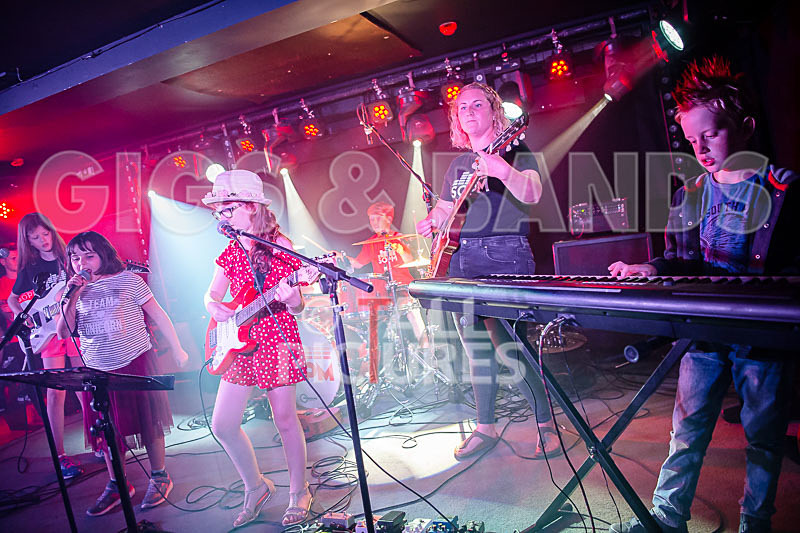 The Flaming Flamingos-18 - THE FLAMING FLAMINGOES