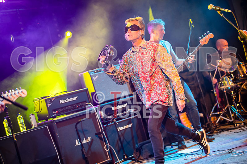 The Sacred Hearts-74 - THE SACRED HEARTS