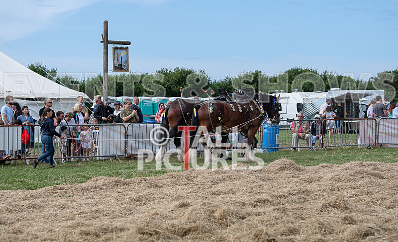 Guernsey Agricultural Show 2021-170 - GUERNSEY AGRICULTURAL SHOW 2021