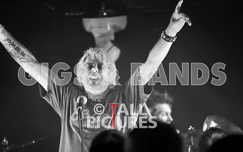 UK Subs-50 - U.K. SUBS