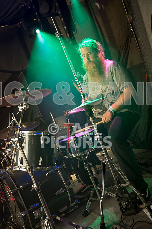 Honest Crooks-38 - HONEST CROOKS