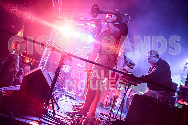 Sons of the Desert-237 - SONS OF THE DESERT