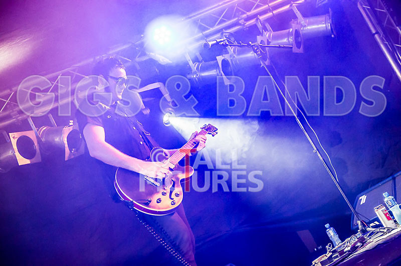 The Electric Shakes-88 - THE ELECTRIC SHAKES