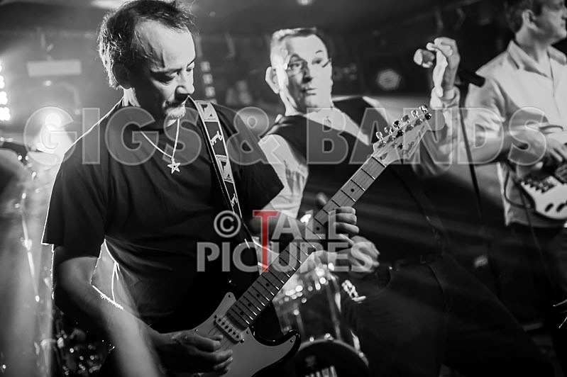 Elysium-280 - ELYSIUM