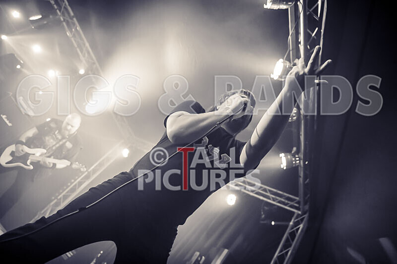 Maiden Guernsey-258 - MAIDEN GUERNSEY