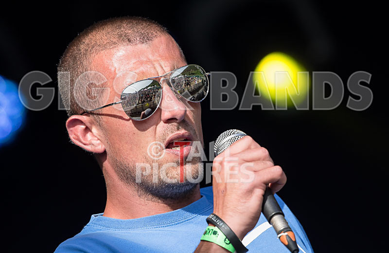 Buffalo Huddleston-373 - BUFFALO HUDDLESTON