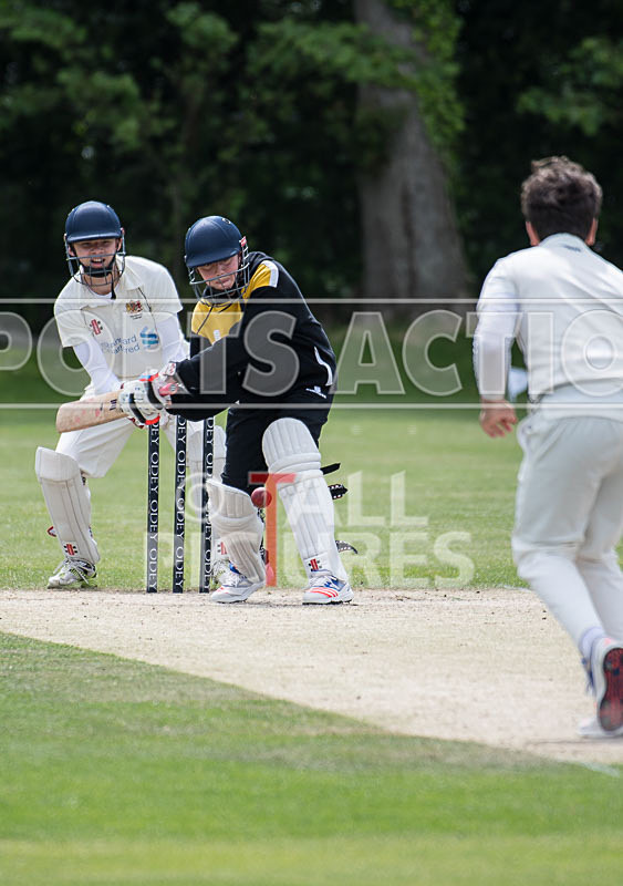 Cricket at KGV_27-05-2017-50 - CRICKET AT KGV_27-05-2017