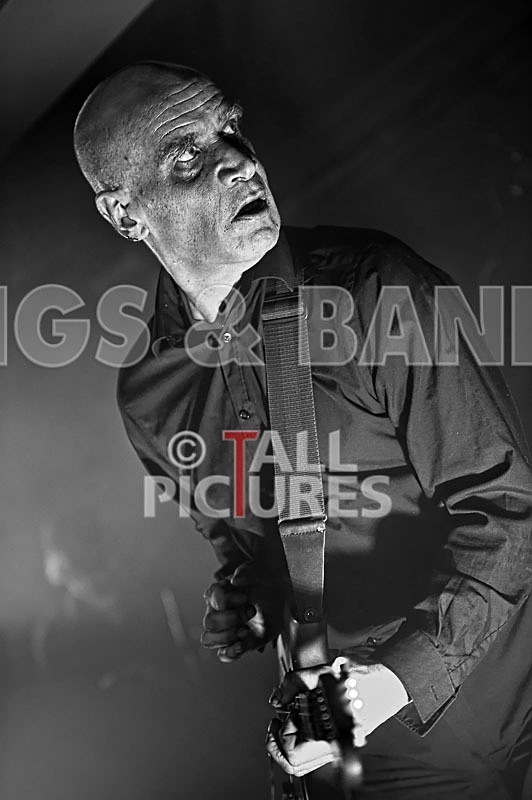 The Wilko Johnson Band-93 - THE WILKO JOHNSON BAND