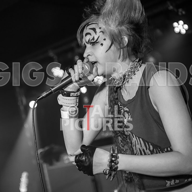 Pussycat and the Dirty Johnsons-88 - PUSSYCAT AND THE DIRTY JOHNSONS