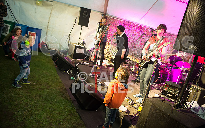 Swallows-15 - SWALLOWS