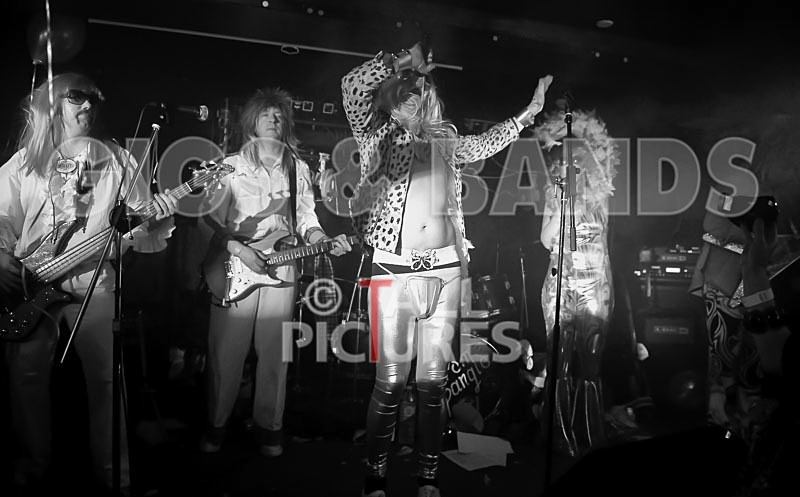 Spangles-113 - SPANGLES