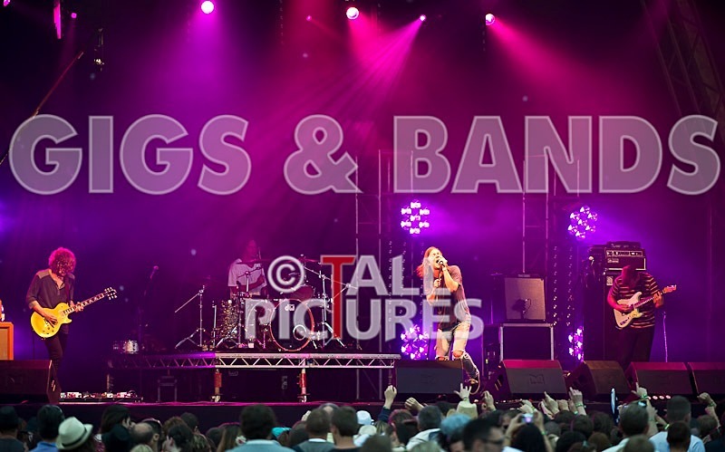 Cage the Elephant-60 - CAGE THE ELEPHANT