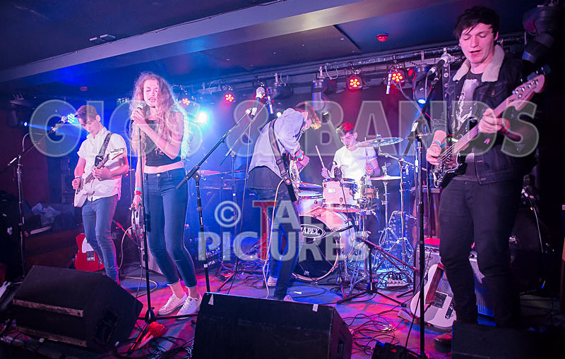 Francisco-87 - FRANCISCO