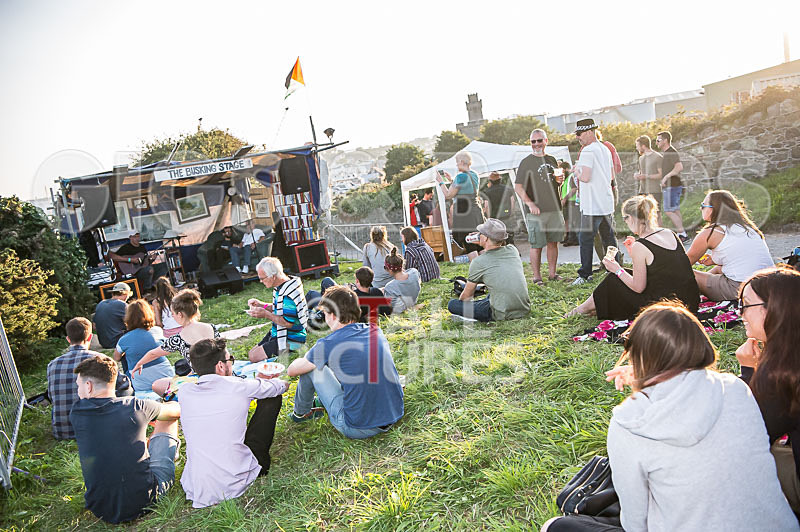 Vale Earth Fair 2017_SCENE-51 - VALE EARTH FAIR 2017_THE SCENE